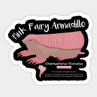 Pink Fairy Armadillo Sticker